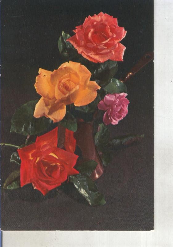 Postal 015276: Composicion de Rosas