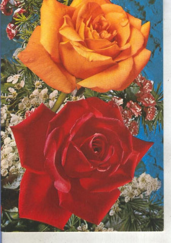 Postal 015279: Rosas