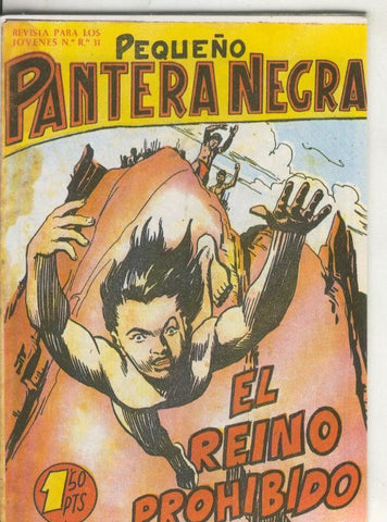Pequeño Pantera Negra, facsimil numero 116: El reino prohibido