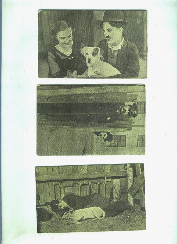 Album de Cromos:  Charlot vida de perro