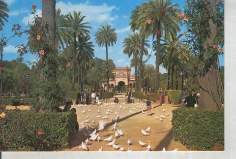 Postal 015781: Parque de Maria Luisa de Sevilla