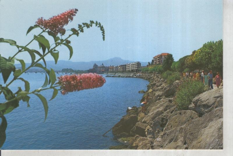 Postal 015788: Vista de Fuenterrabia desde el espigon