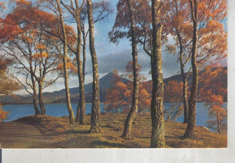 Postal 015831: The shores of Loch Rannoch, Perthshire, Scotland