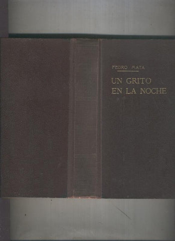 Un grito en la noche, novela de amor y de dolor