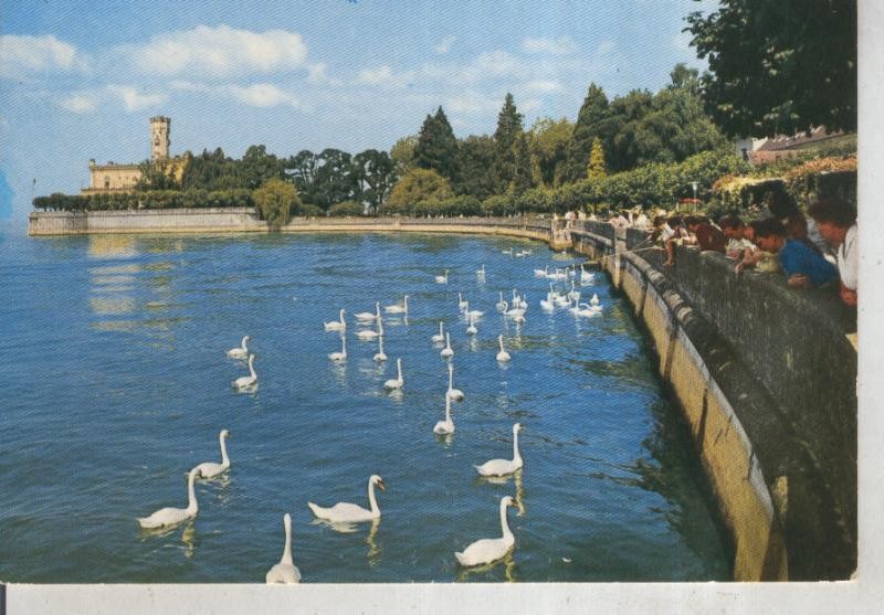 Postal 015985: Bodenseekurort Langenargen
