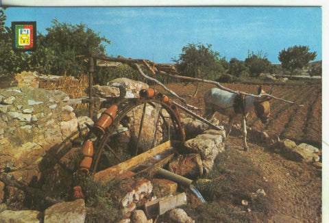 Postal 005583 : Motivo tipico de la costa del sol