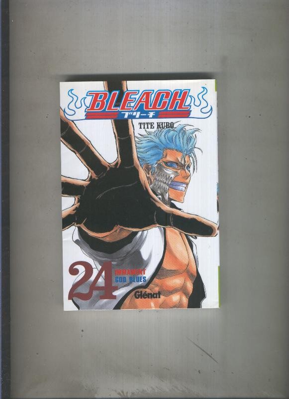 Bleach numero 24