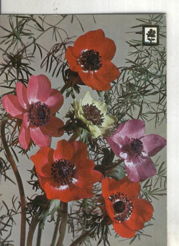 Postal 003602: Coleccion Flores