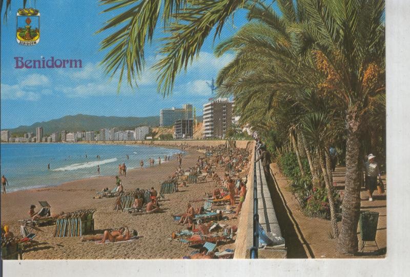 Postal 016206: Playa de Poniente en Benidorm, Alicante