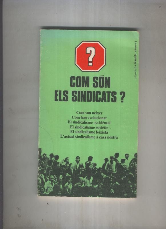 Com son els sindicats