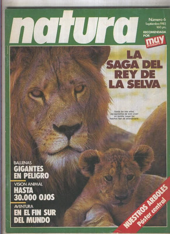 Natura numero 006