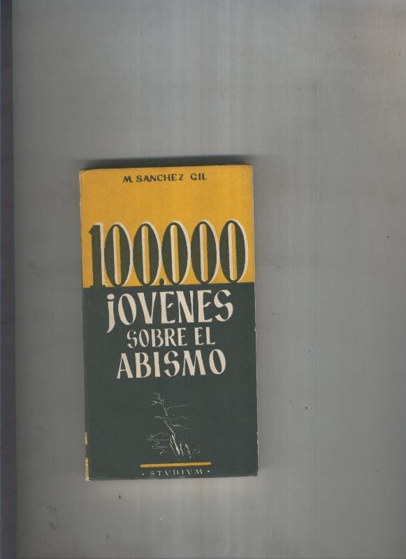100.000 jovenes sobre el abismo