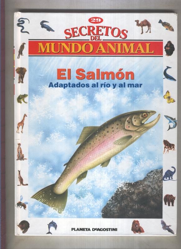 Secretos del mundo animal numero 29: El salmon, adaptados al rio y al mar