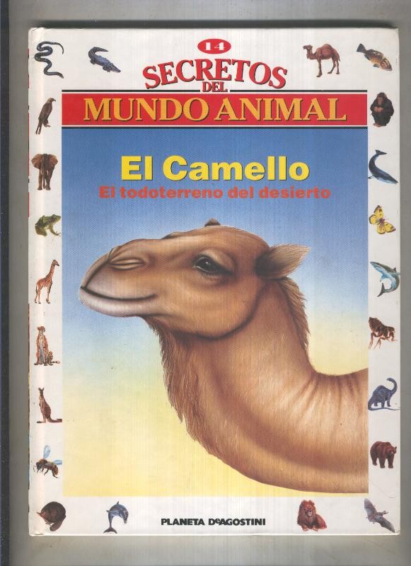 Secretos del mundo animal numero 14: El camello, el todoterreno del desierto
