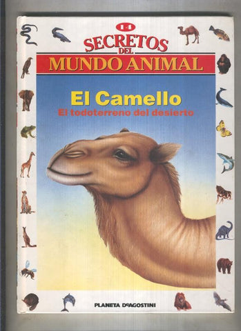 Secretos del mundo animal numero 14: El camello, el todoterreno del desierto