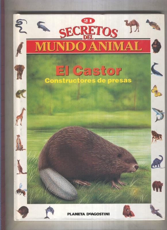 Secretos del mundo animal numero 21: El castor, constructores de presas