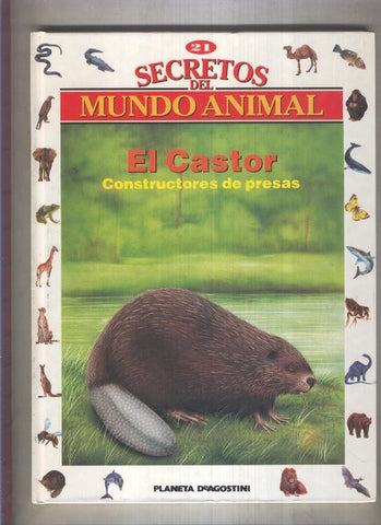 Secretos del mundo animal numero 21: El castor, constructores de presas