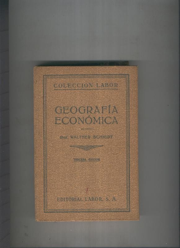 Geografia economica