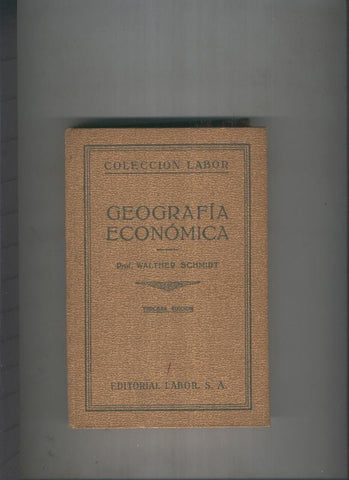 Geografia economica