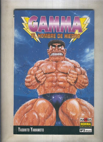 Gamma el hombre de hierro numero 02 (numerado 8 en interior trasera)