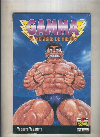 Gamma el hombre de hierro numero 02 (numerado 6 en interior trasera)