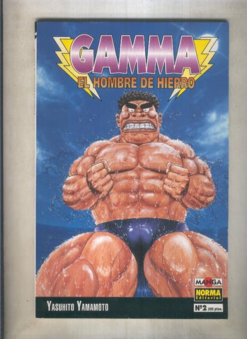 Gamma el hombre de hierro numero 02 (numerado 4 en interior trasera)