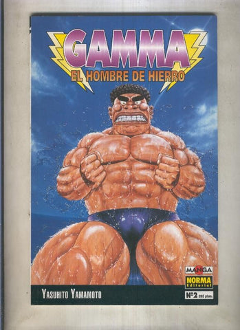 Gamma el hombre de hierro numero 02 (numerado 3 en interior trasera)