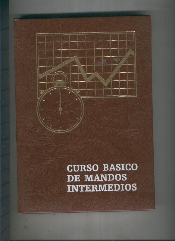 Curso Basico de mandos intermedios
