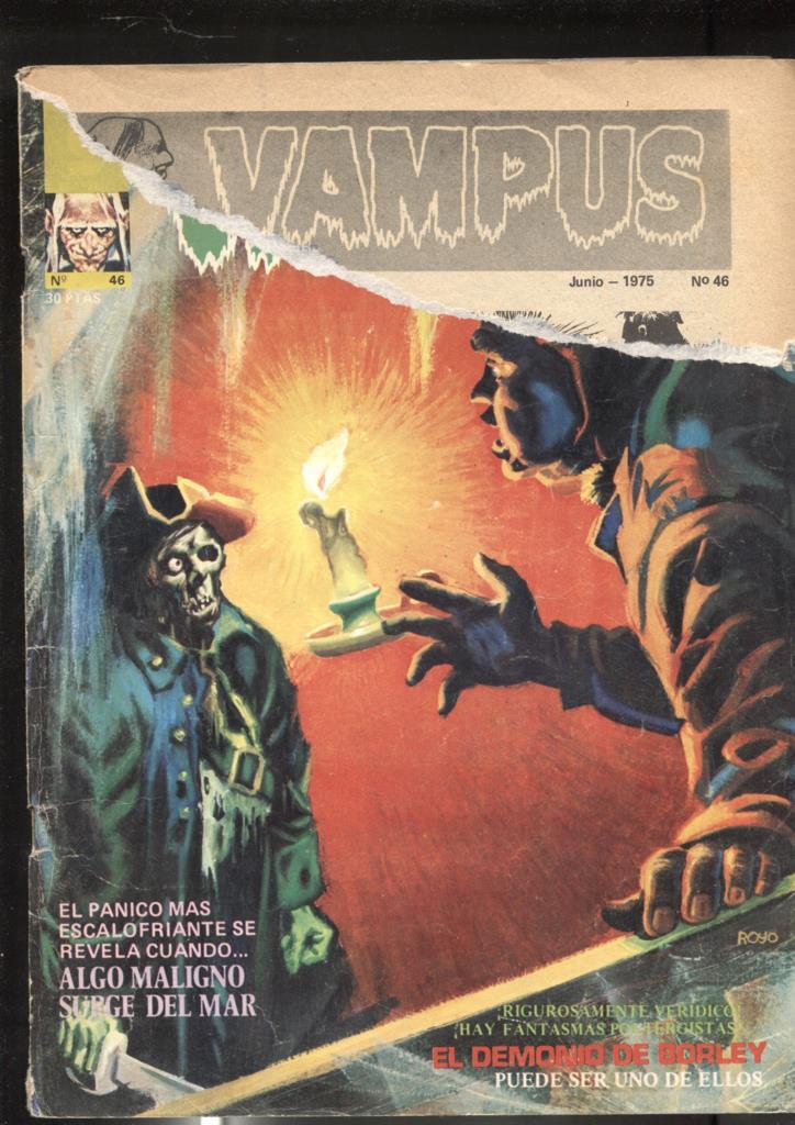 Vampus numero 46: aviejado con roto en cubierta segun imagen