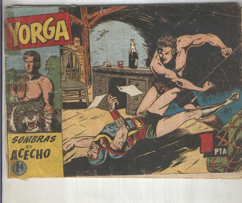 Yorga fakir indio numero 24: sombras en acecho