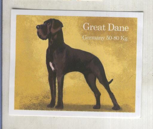 Cromo: Album Imaginarium numero 09: Great Dane