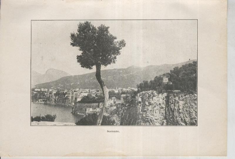 Mandolines i Babutxes lamina 01: Sorrento