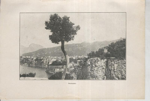 Mandolines i Babutxes lamina 01: Sorrento