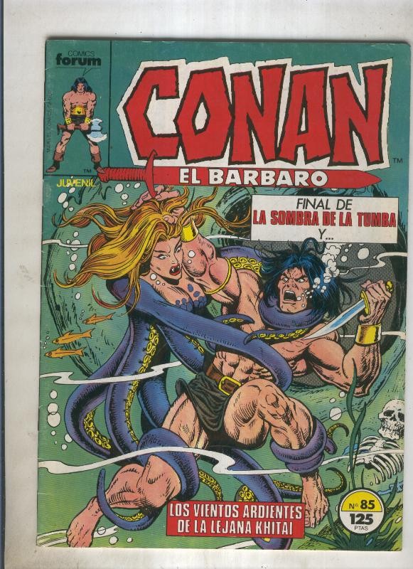 Conan el Barbaro primera edicion numero 085 (numerado 1 en trasera)