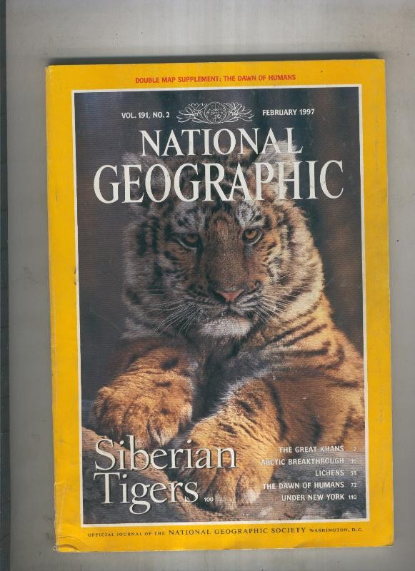 National geographic 1997 february : siberian tigers 