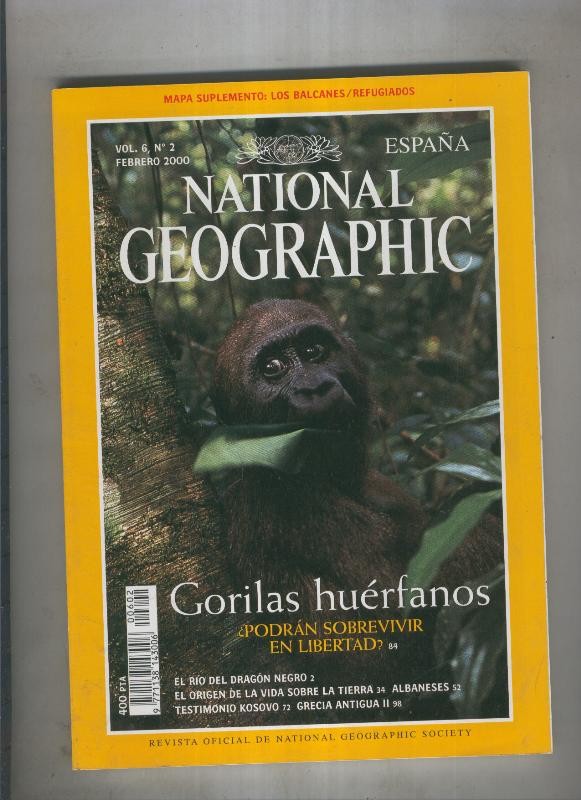 National geographic 2000 febrero : Gorilas huerfanos Podrian sobrevivir en libertad