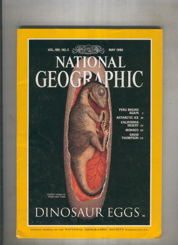 National geographic 1996 May: dinosaur eggs 