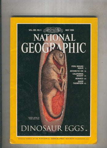 National geographic 1996 May: dinosaur eggs 