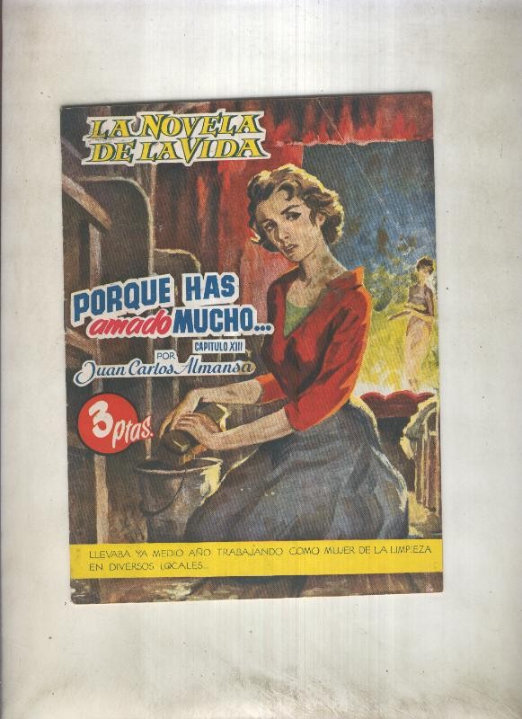 La novela de la vida: Porque has amado mucho, capitulo 13