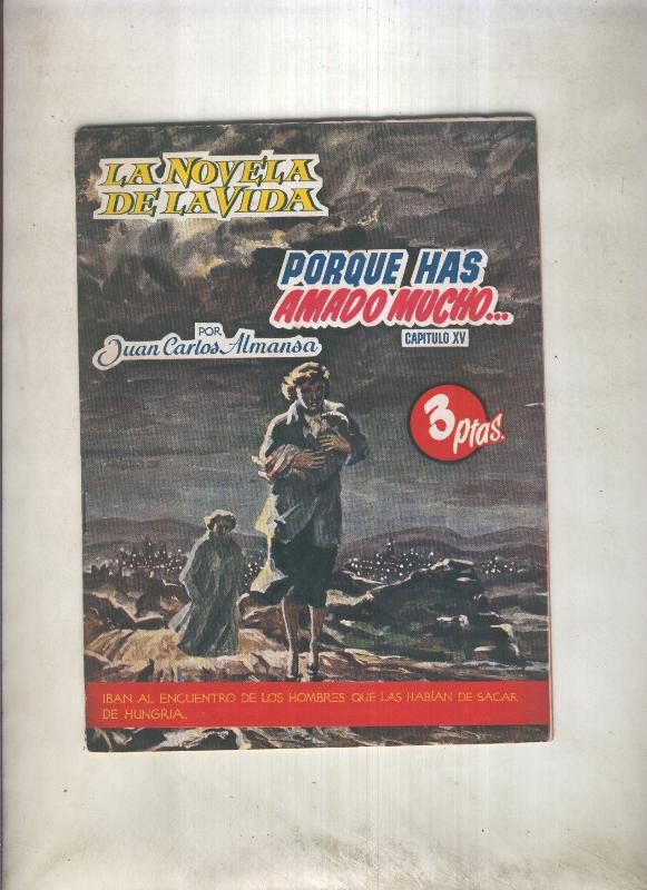 La novela de la vida: Porque has amado mucho, capitulo 15