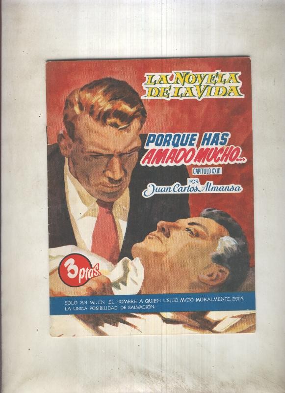 La novela de la vida: Porque has amado mucho, capitulo 23