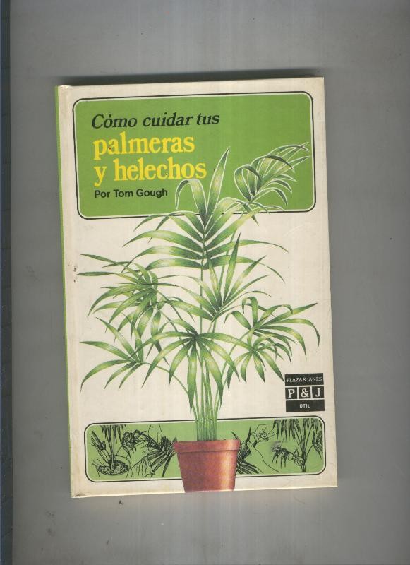 Como cuidar tus palmeras y helechos
