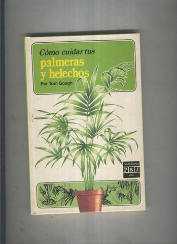 Como cuidar tus palmeras y helechos
