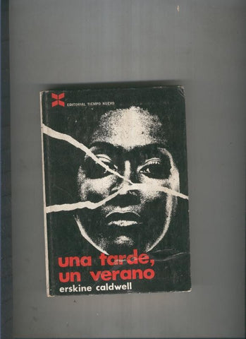 Una tarde, un verano