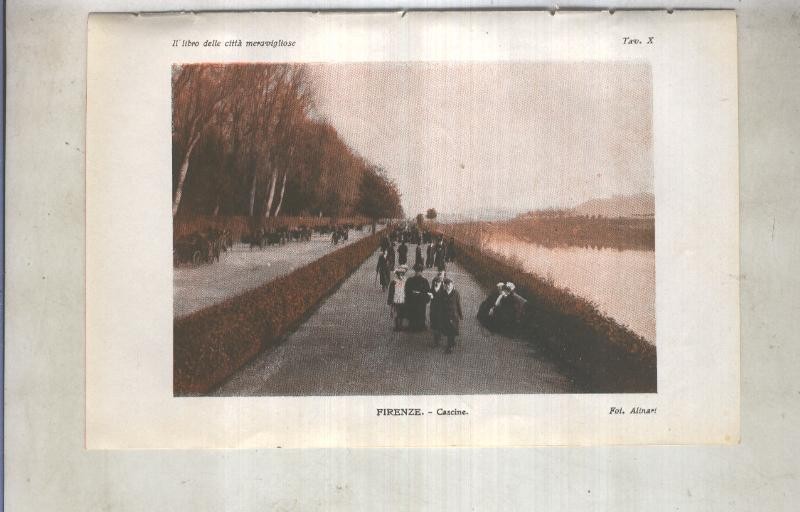 Lamina 10: Firenze, cascine