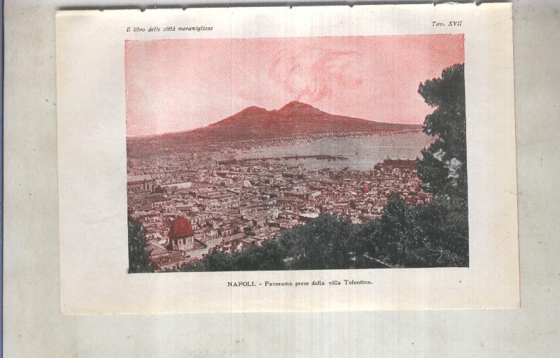 Lamina 17: Napoli: panorama preso dalla villa Tolentino
