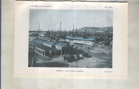 Lamina 23: Genova: Ponte Federico Guglielmo