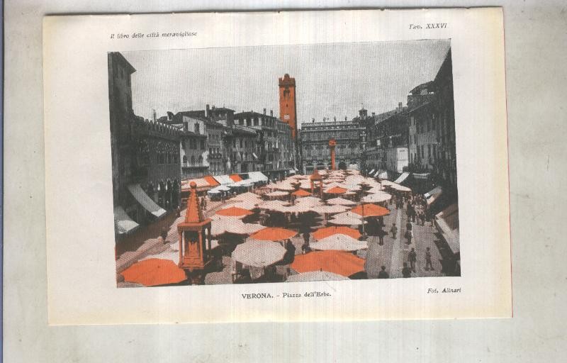 Lamina 36: Verona: Piazza dell Erbe