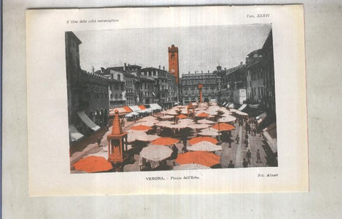 Lamina 36: Verona: Piazza dell Erbe