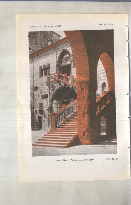 Lamina 38: Verona: Palazzo degli Scaligeri
